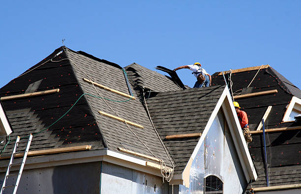 Best Roof Gutter Cleaning  in Rolla, ND