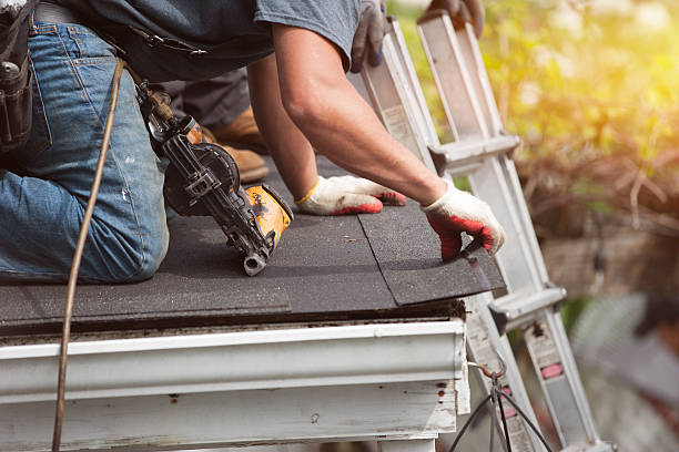 Best Commercial Roofing Services  in Rolla, ND